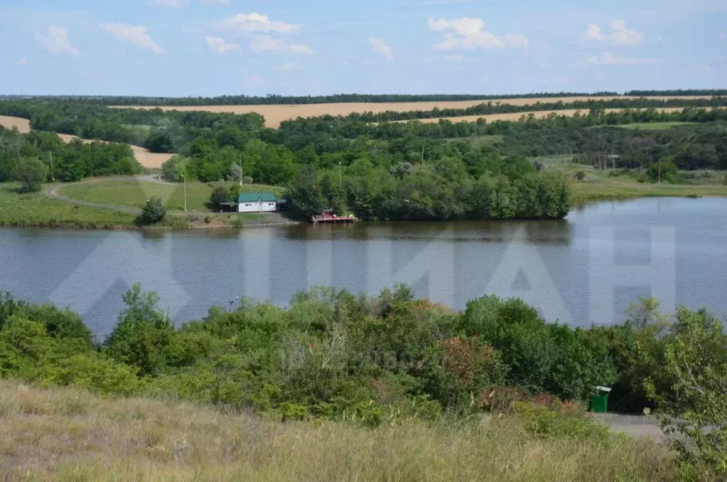 Участки в куйбышевский районе. Новиковка Куйбышевский район. Новиковка Ростовская область Куйбышевский район. Пруд село Новиковка Ростовская область. Куйбышевский пруд Ростовская.