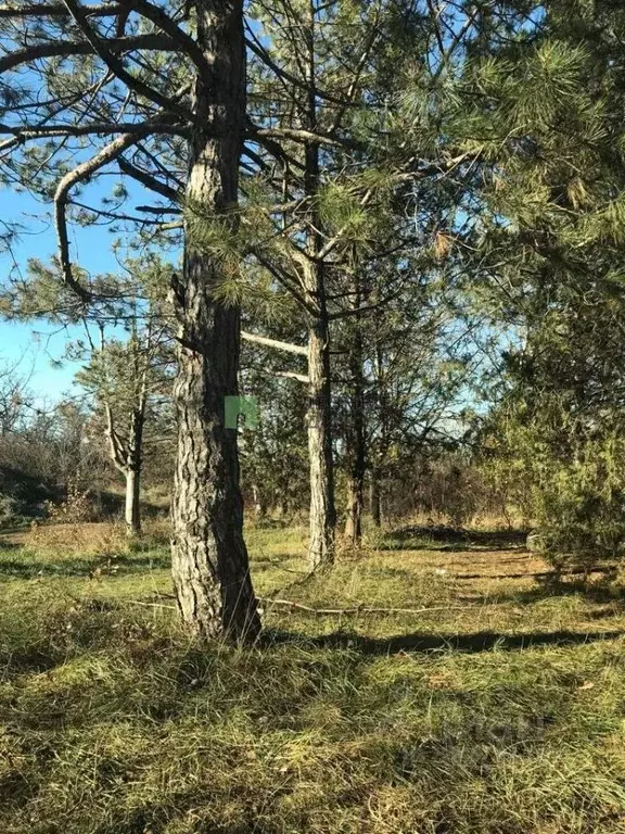 Участок в Севастополь Балаклавский муниципальный округ, Сапун-Гора ... - Фото 1
