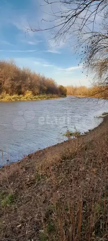 Участок 6 га (СНТ, ДНП) - Фото 1