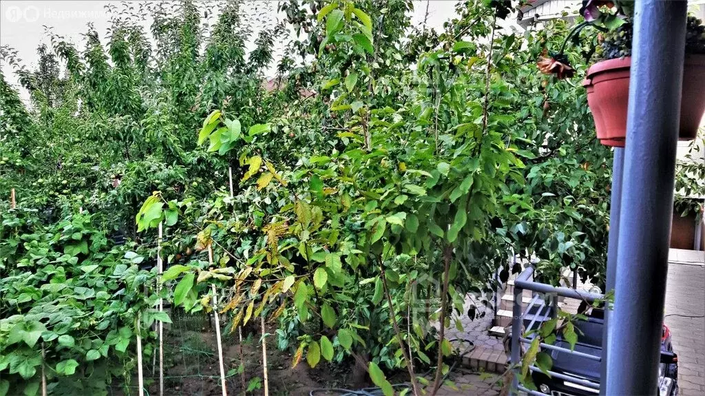 Дом в Волгоград, улица Азизбекова (175.4 м) - Фото 1