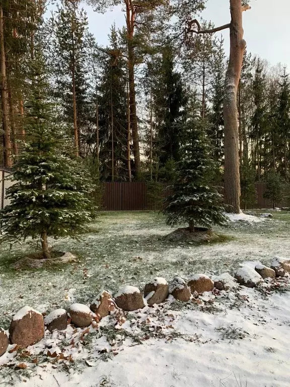 Участок в Санкт-Петербург пос. Репино, ул. Репина (12.0 сот.) - Фото 0