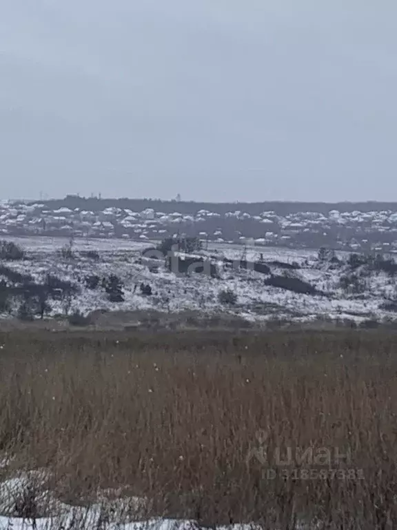 Участок в Белгородская область, Белгородский район, Головинское с/пос, ... - Фото 1