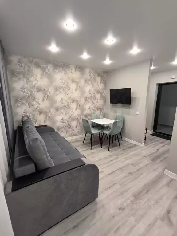 Студия Амурская область, Благовещенский район, с. Чигири ул. ... - Фото 2