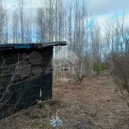 Участок в Панковское городское поселение, садоводческий массив № 3, ... - Фото 1