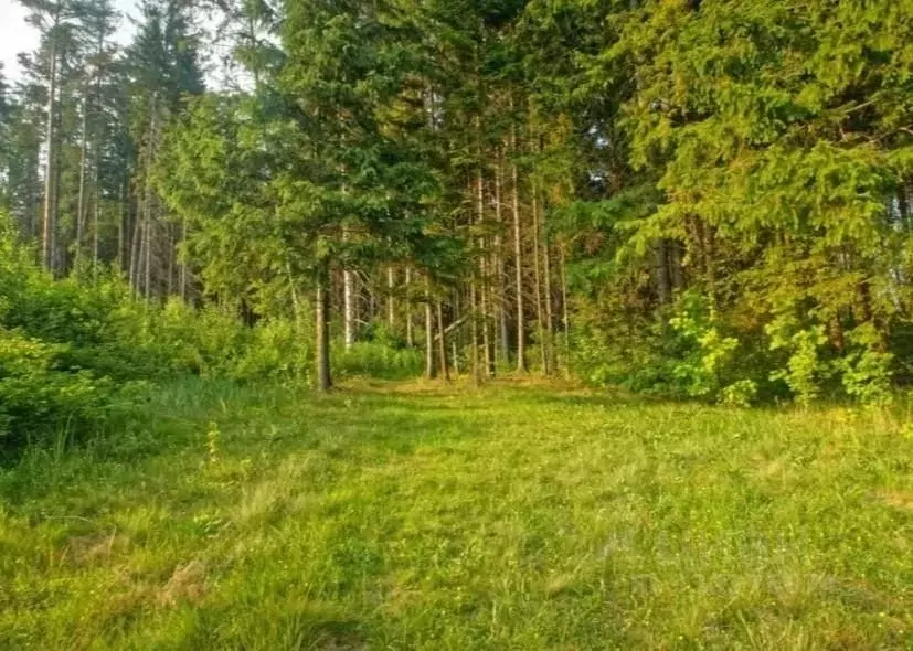Участок в Карелия, Сортавальский муниципальный округ, пос. Рускеала ... - Фото 2