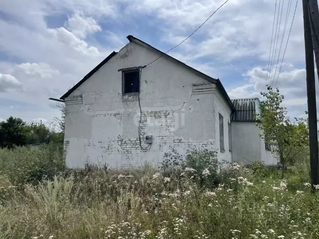 Торговая площадь в Тамбовская область, Тамбовский муниципальный округ, ... - Фото 1