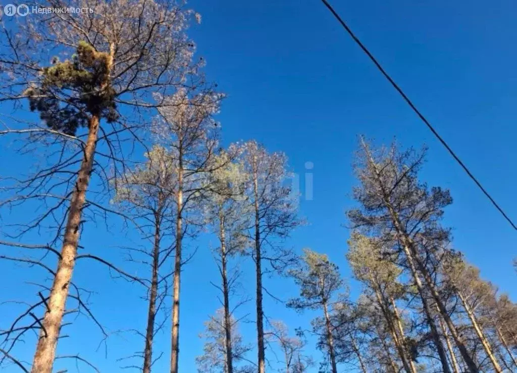 Участок в Якутск, Сайсарский округ (8 м) - Фото 2