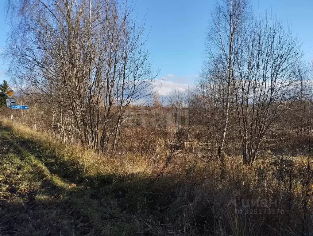 Участок в Смоленская область, Кардымовский муниципальный округ, ... - Фото 1