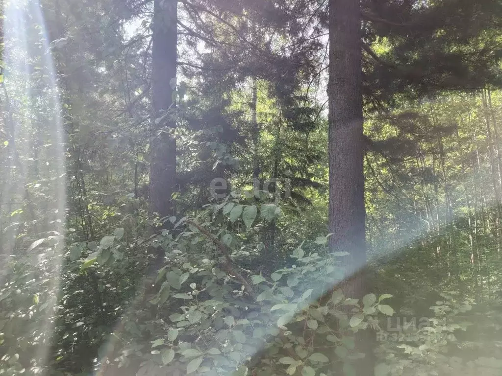 Участок в Томская область, Томский район, д. Кандинка ул. Сибирская ... - Фото 2