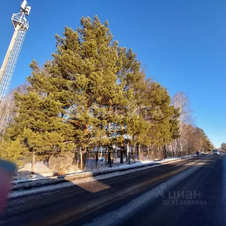 Участок в Тюменская область, Тюмень Березняковский мкр, ул. ... - Фото 0