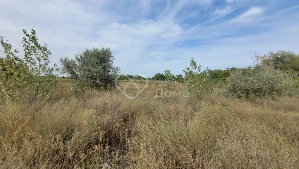 Участок в Волгоградская область, Среднеахтубинский район, Куйбышевское ... - Фото 2