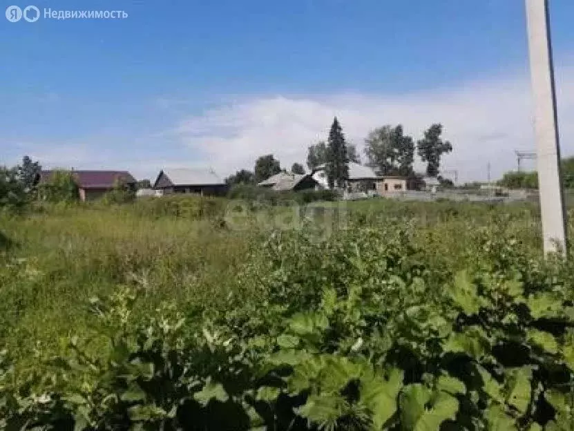 Участок в Кемерово, Керченская улица (6 м) - Фото 1