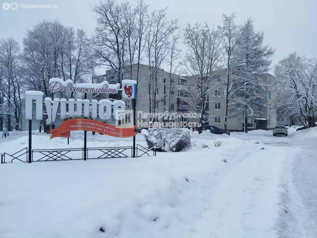 2-комнатная квартира: посёлок Пушное, Школьная улица, 12 (53.4 м) - Фото 1