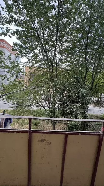 2-к. квартира, 48 м, 2/5 эт. - Фото 1