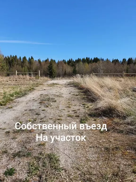 Участок в Карелия, Питкярантский муниципальный округ, Лункулансаари ... - Фото 2