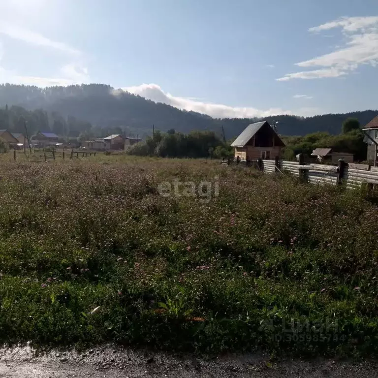 Участок в Алтай, Майминский район, с. Кызыл-Озек ул. Г.Г. Ромашкиной ... - Фото 1