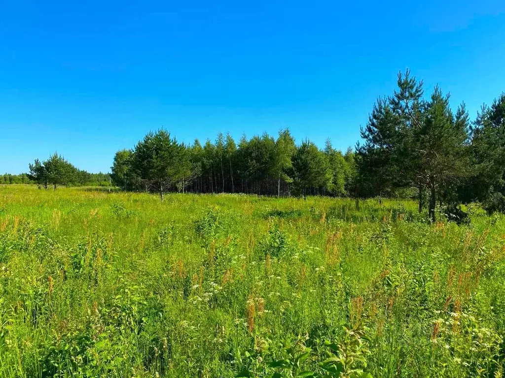 Участок в Тульская область, Заокский район, Страховское с/пос, д. ... - Фото 1