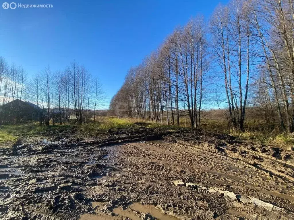 Участок в Медведевский район, Сидоровское сельское поселение, деревня ... - Фото 2