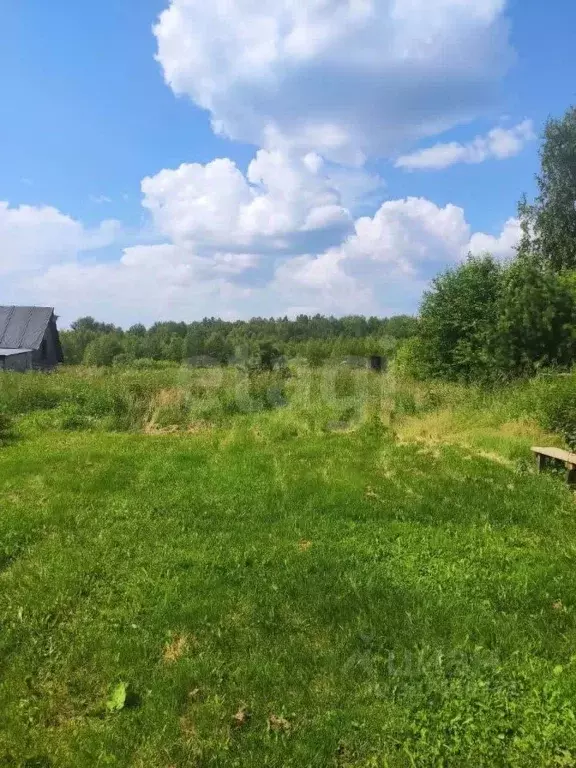 Участок в Тюменская область, Тюменский муниципальный округ, д. ... - Фото 1