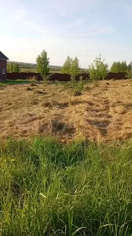 Участок 10 сот. (ИЖС) - Фото 0