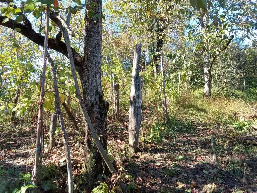 Участок в Краснодарский край, городской округ Сочи, село Нижняя ... - Фото 1