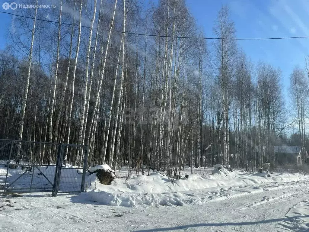 Участок в Пениковское сельское поселение, деревня Таменгонт, Кольцевая ... - Фото 0