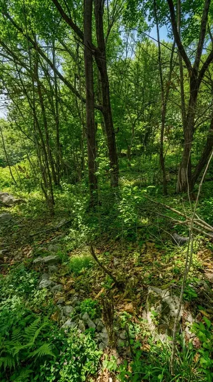 Участок в Приморский край, Артем ул. 1-я Рабочая (9.41 сот.) - Фото 1