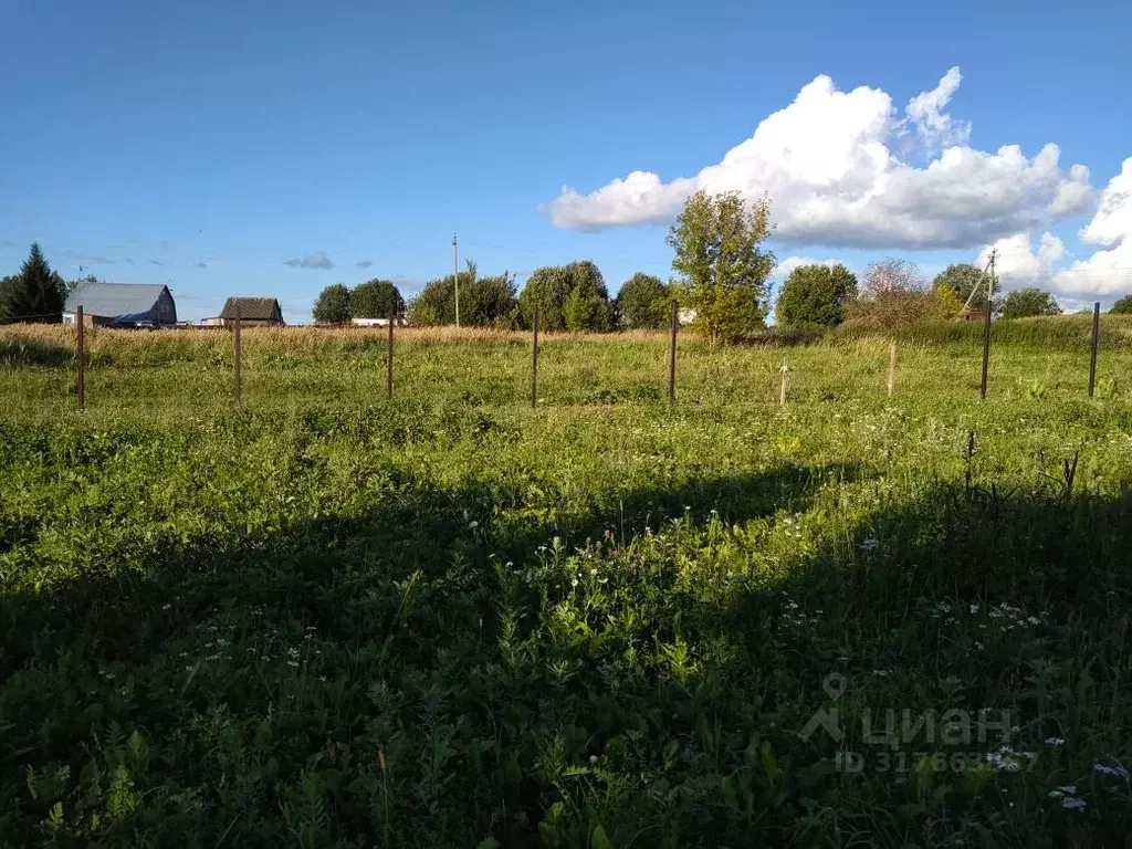Участок в Калужская область, Жуковский район, д. Корсаково ул. Садовая ... - Фото 2