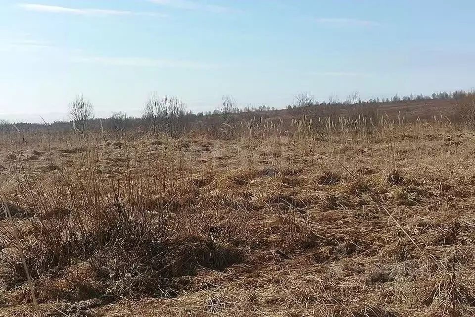 Участок в Ленинградская область, Гатчинский район, д. Большое Верево ... - Фото 0