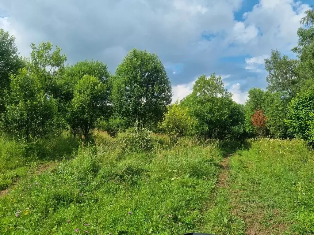 Участок в Калужская область, Жуковский муниципальный округ, Восход ... - Фото 1