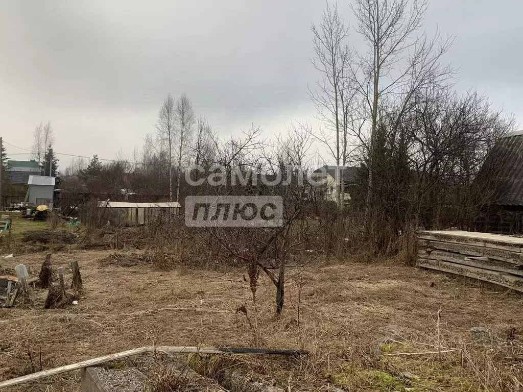 Участок в Ленинградская область, Тосно г. Тосненский район, Тосненское ... - Фото 1