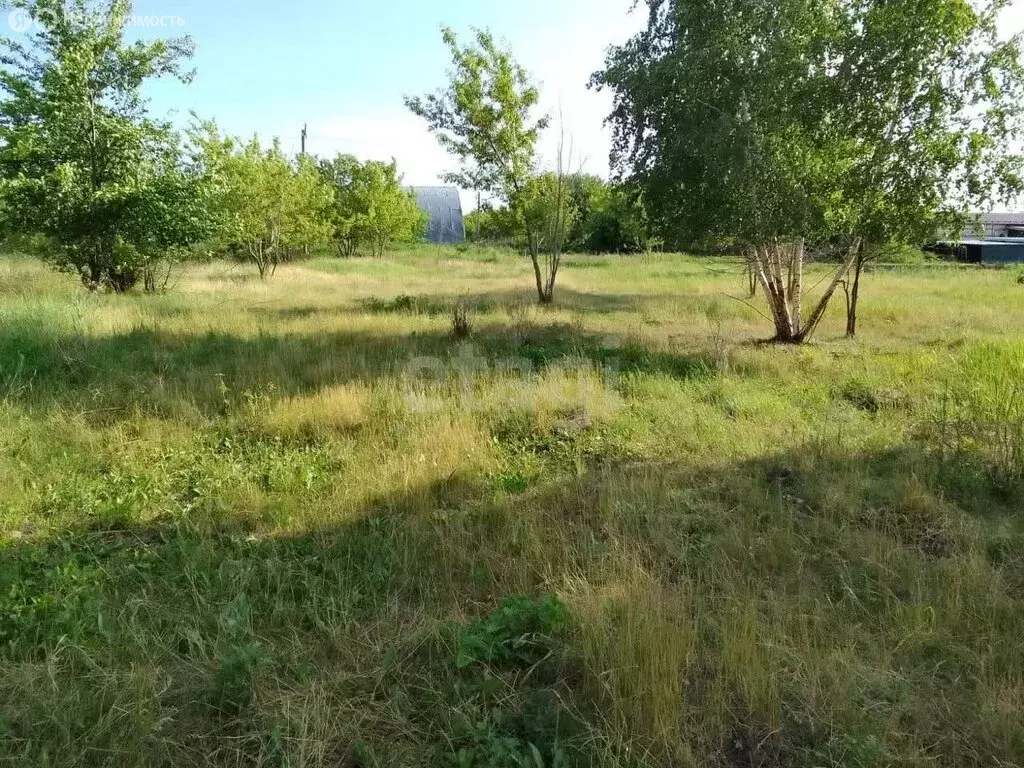 Участок в Ульяновская область, Чердаклинское городское поселение, СНТ ... - Фото 0