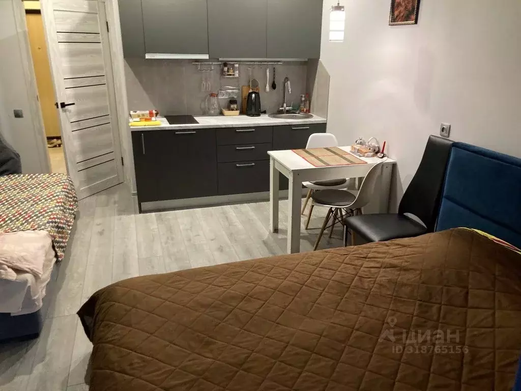 Студия Санкт-Петербург ул. Федора Котанова, 5к1 (33.3 м) - Фото 0