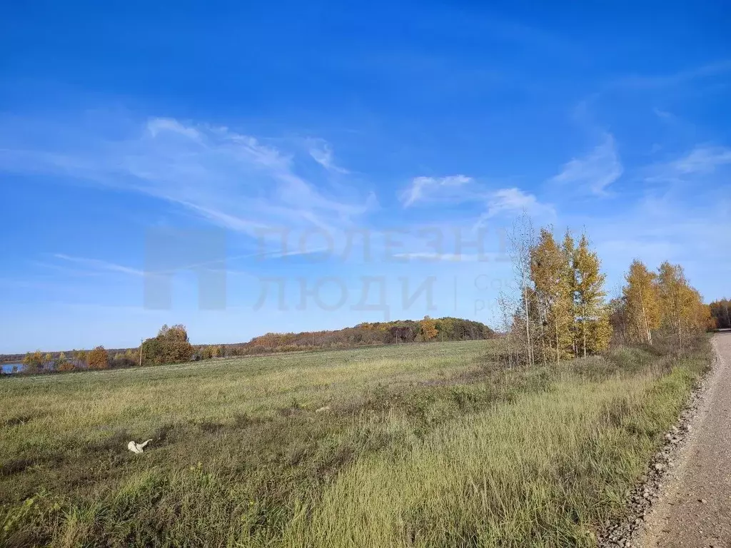 Участок в Новгородская область, Новгородский район, Бронницкое с/пос, ... - Фото 0