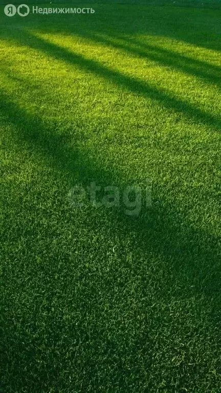 Участок в село Колодинка, Полевая улица (8 м) - Фото 2