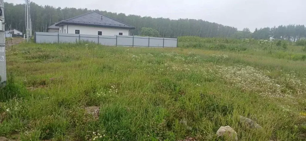 Участок в Московская область, Домодедово Грильяж кп, 61 (5.2 сот.) - Фото 0