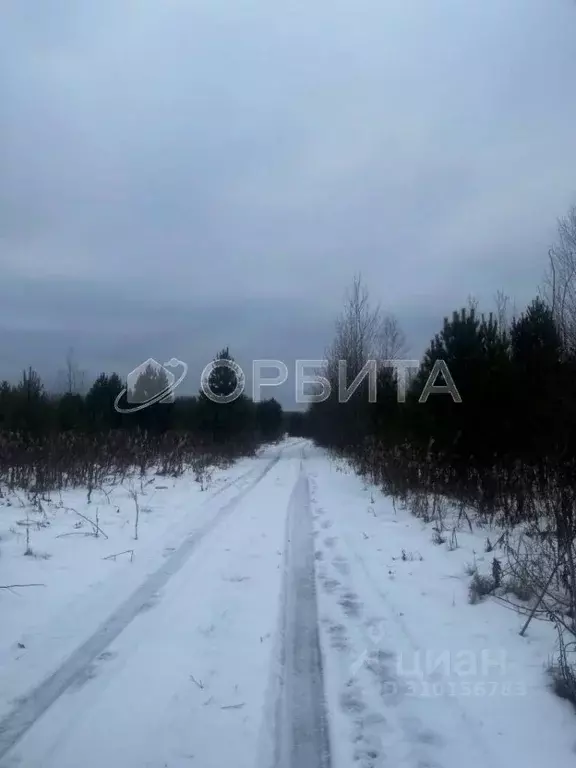 Участок в Тюменская область, Тюменский район, с. Горьковка Сибирская ... - Фото 0