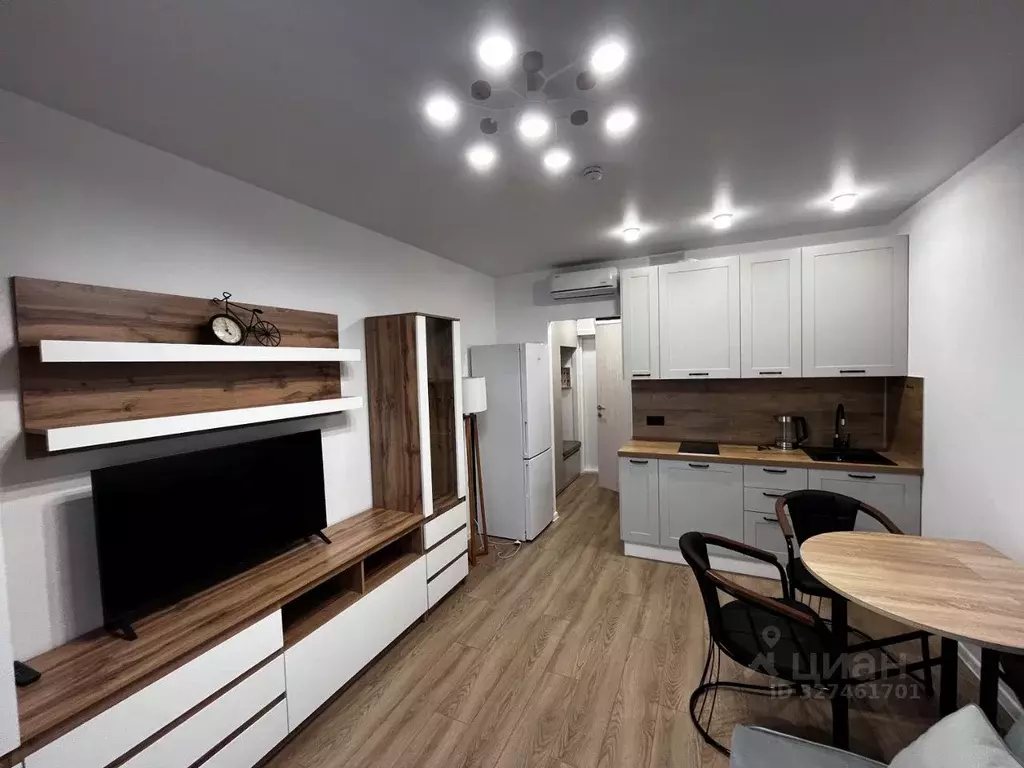 Студия Москва ул. Трехполье, 6к1 (24.0 м) - Фото 1