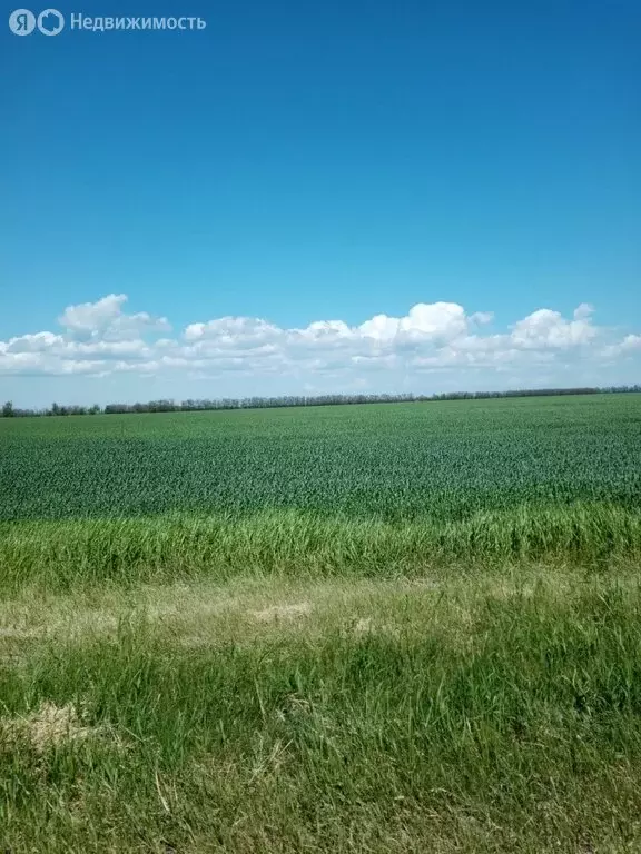 Участок в Ясенская, улица Толстого (20 м) - Фото 1