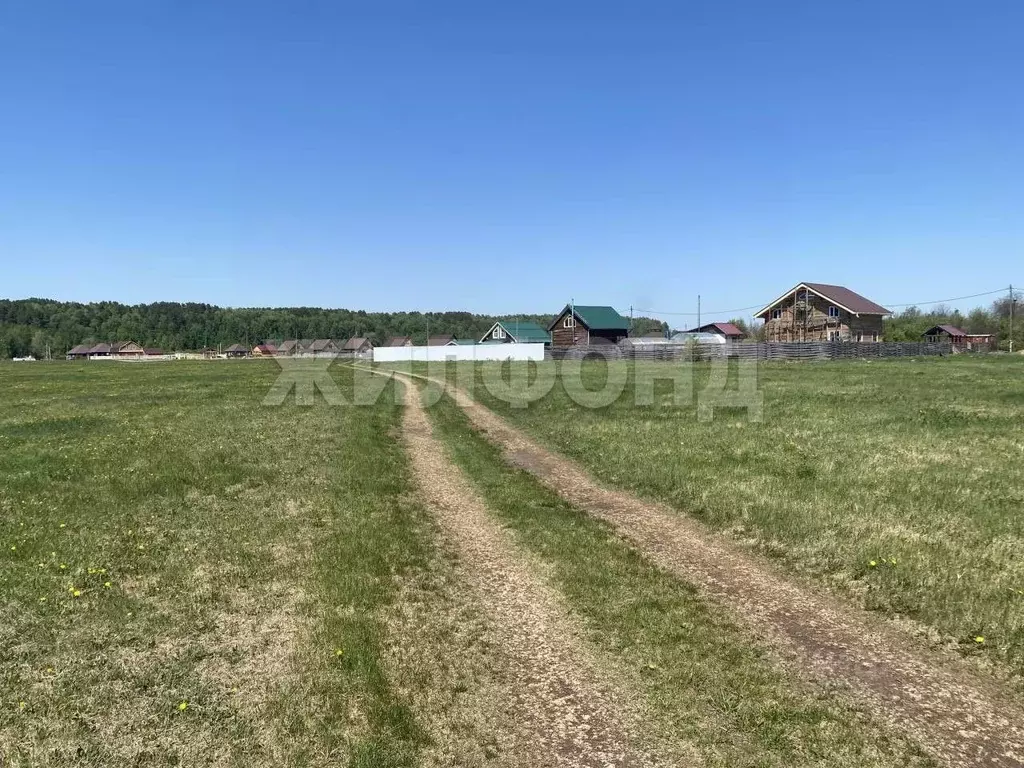 Участок в Томская область, Томский район, с. Курлек  (15.0 сот.) - Фото 1