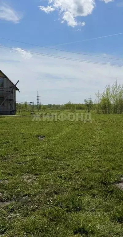 Участок в Новосибирская область, Мошковский район, с. Сокур ... - Фото 2