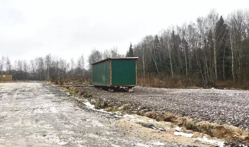 Участок в Московская область, Пушкинский городской округ, с. Ельдигино ... - Фото 1
