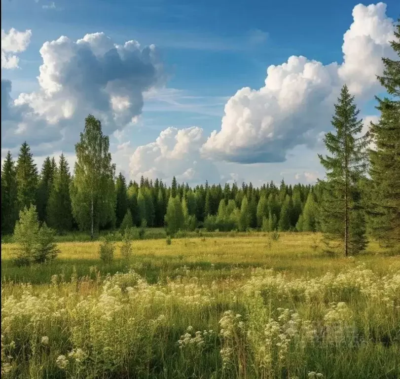 Участок в Ленинградская область, Выборгский район, Первомайское с/пос, ... - Фото 1