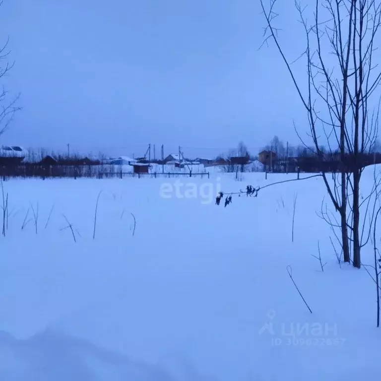 Участок в Коми, Сыктывдинский район, с. Выльгорт ул. Бирюзовая (12.0 ... - Фото 0