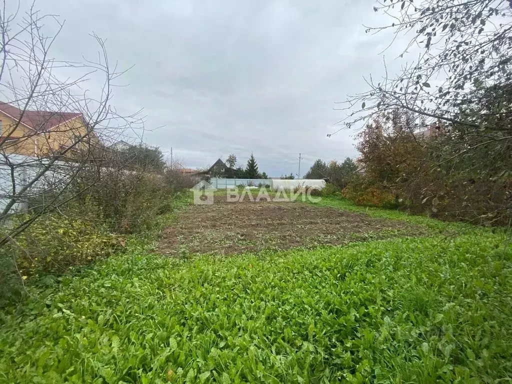 Участок в Владимирская область, Суздальский район, Боголюбовское ... - Фото 2