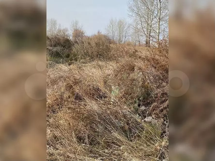 Участок 6 сот. (ИЖС) - Фото 1