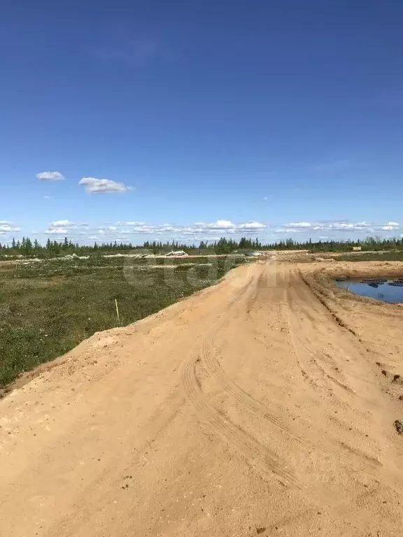 Участок в Ямало-Ненецкий АО, Новый Уренгой ул. 2-я Каскадная, 11 (6.0 ... - Фото 2