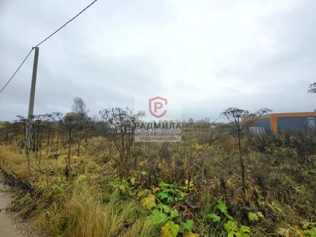 Участок в Владимирская область, Александровский муниципальный округ, ... - Фото 1