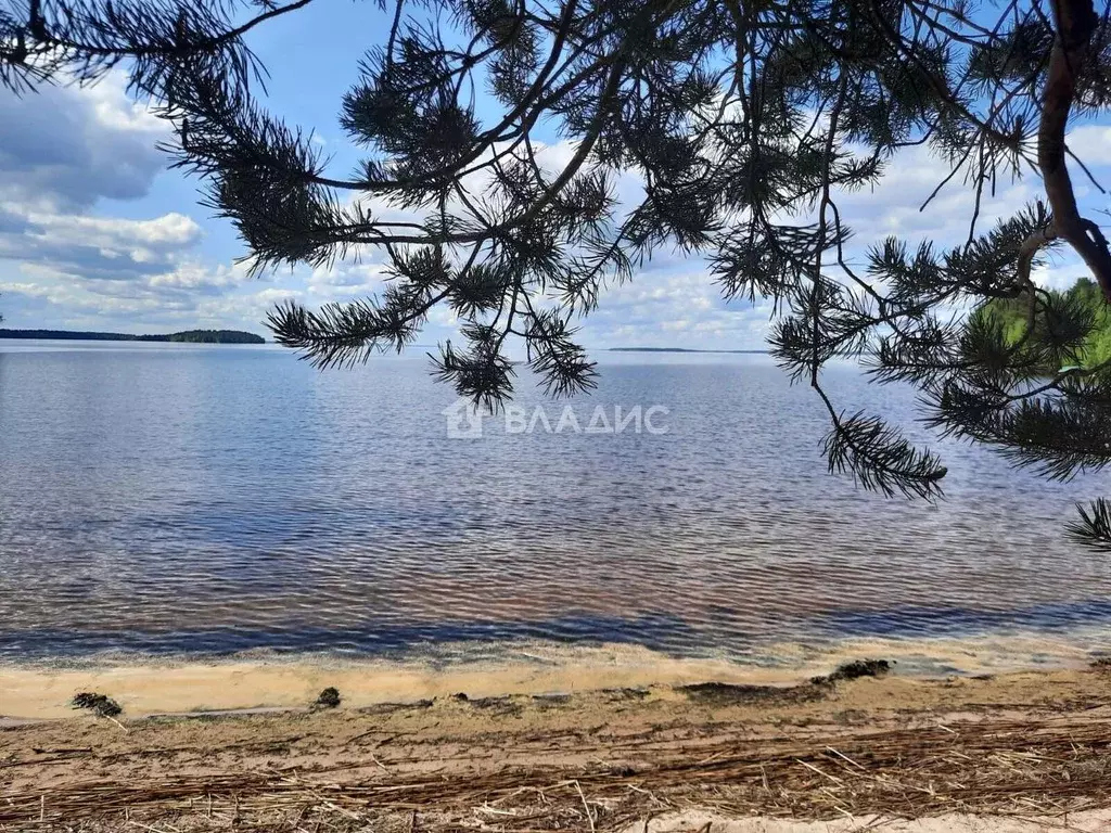 Участок в Карелия, Суоярвский муниципальный округ, Инжунаволок тер.  ... - Фото 1
