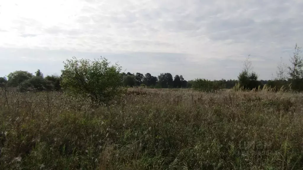 Участок в Московская область, Рузский муниципальный округ, д. ... - Фото 0